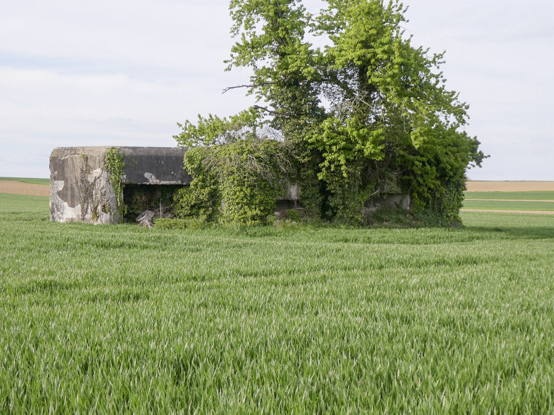 Ligne Maginot - EICHMATT - (Casemate d'infanterie - Simple) -  - ELLENA Daniel - CUNY Philippe