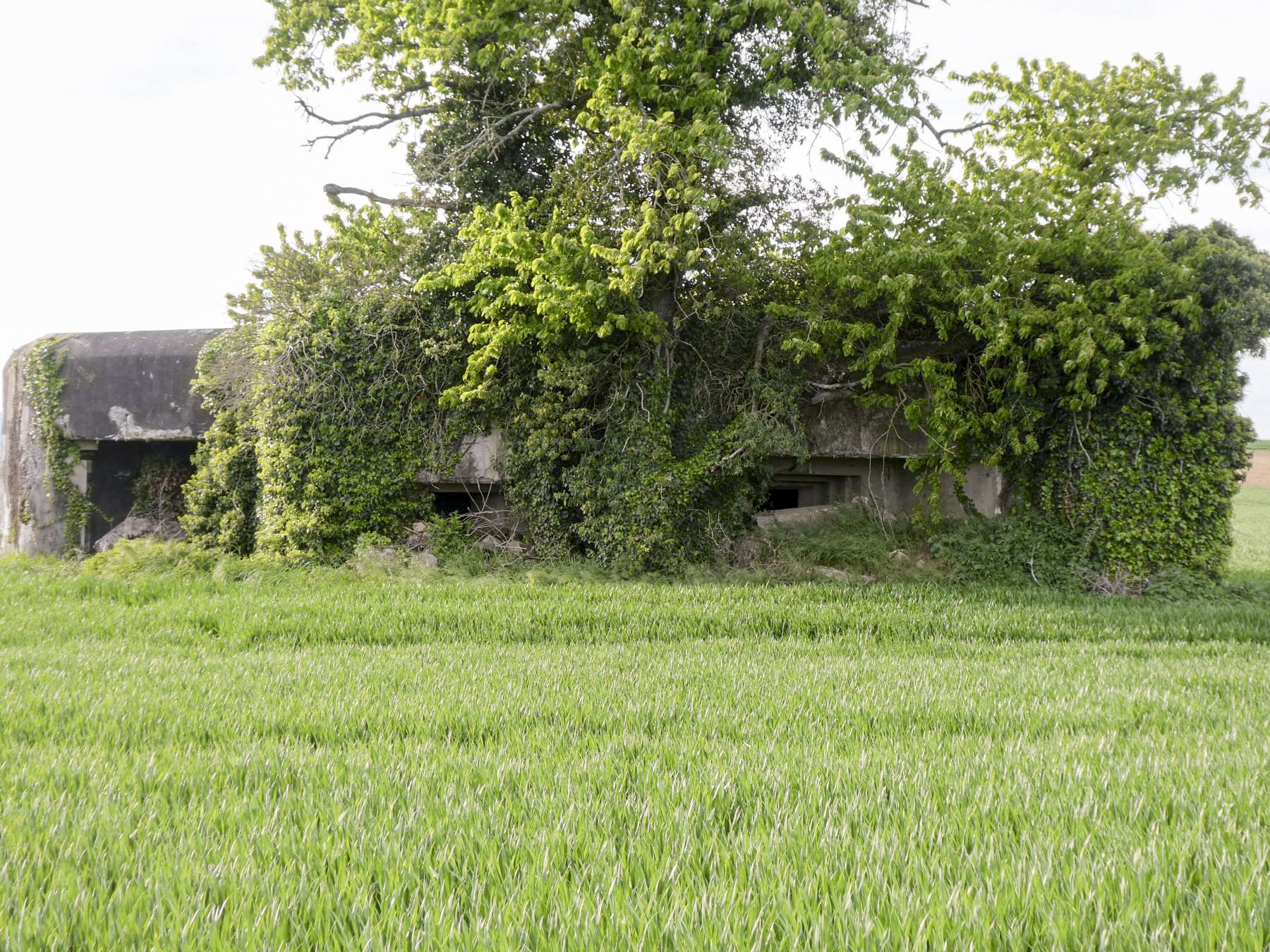 Ligne Maginot - EICHMATT - (Casemate d'infanterie - Simple) -  - ELLENA Daniel - CUNY Philippe