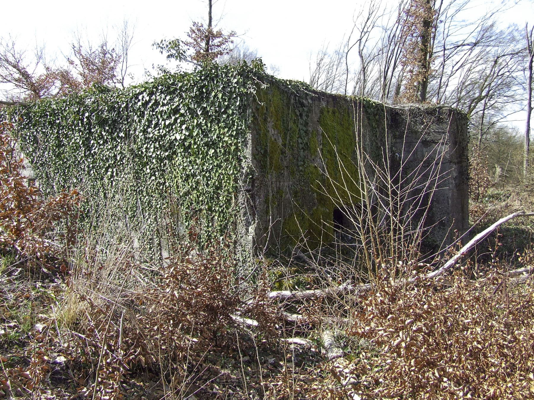 Ligne Maginot - BB349 - (Blockhaus pour arme infanterie) - La façade de tir du blockhaus anti-char. - STENGER Mathieu