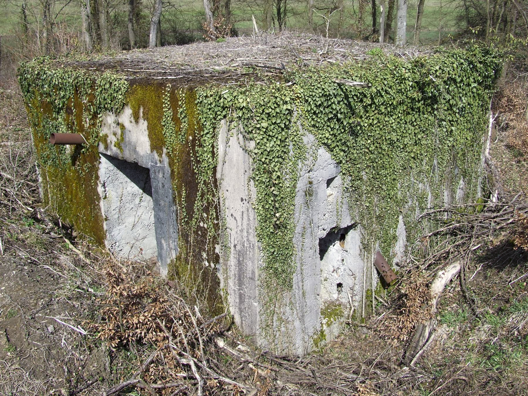Ligne Maginot - BB349 - (Blockhaus pour arme infanterie) - Les entrées du blockhaus. - STENGER Mathieu
