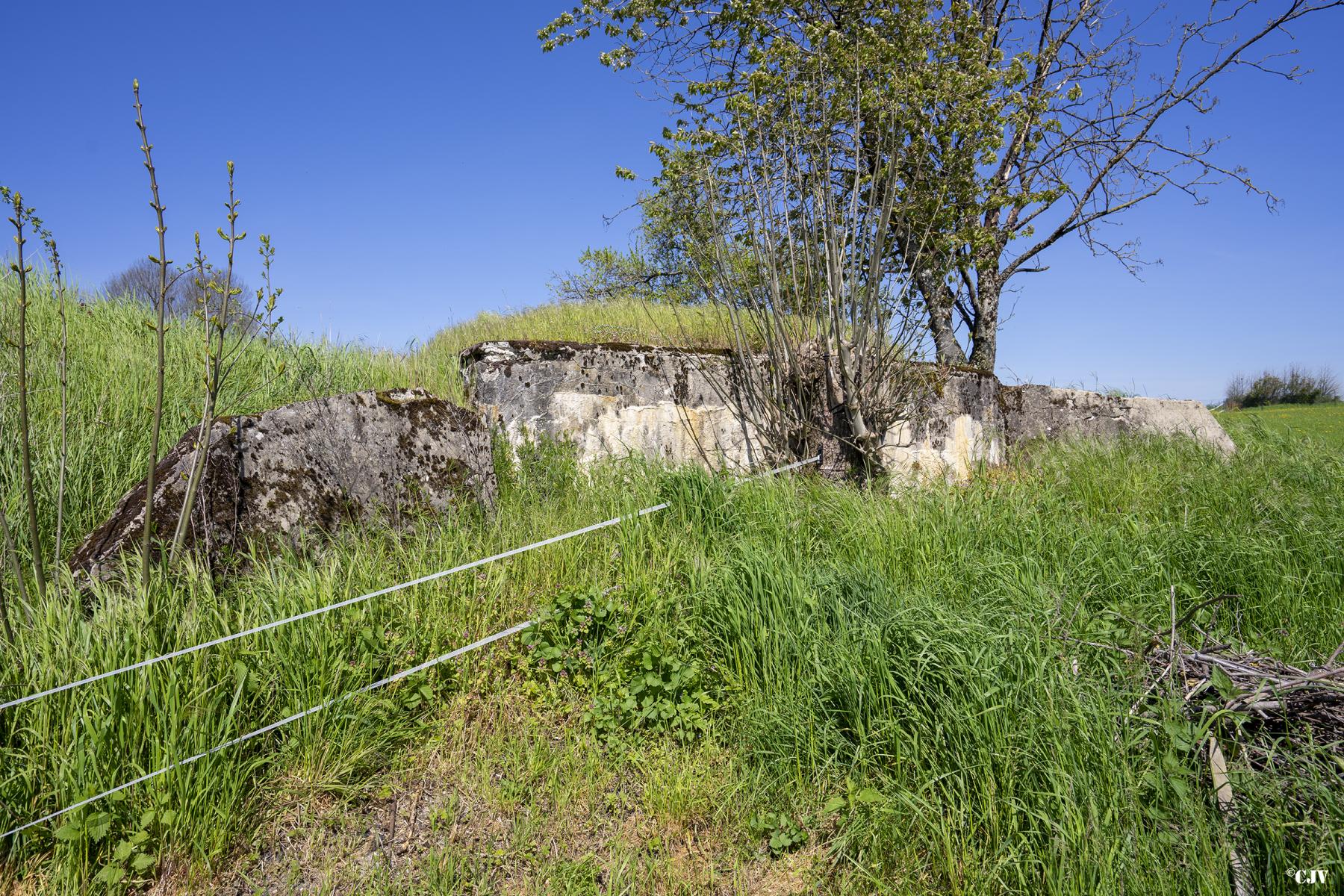 Ligne Maginot - CAMP DE ZIMMING 2 - (Blockhaus pour arme infanterie) - Le blockhaus est partiellement remblayé - Lia VERMEULEN