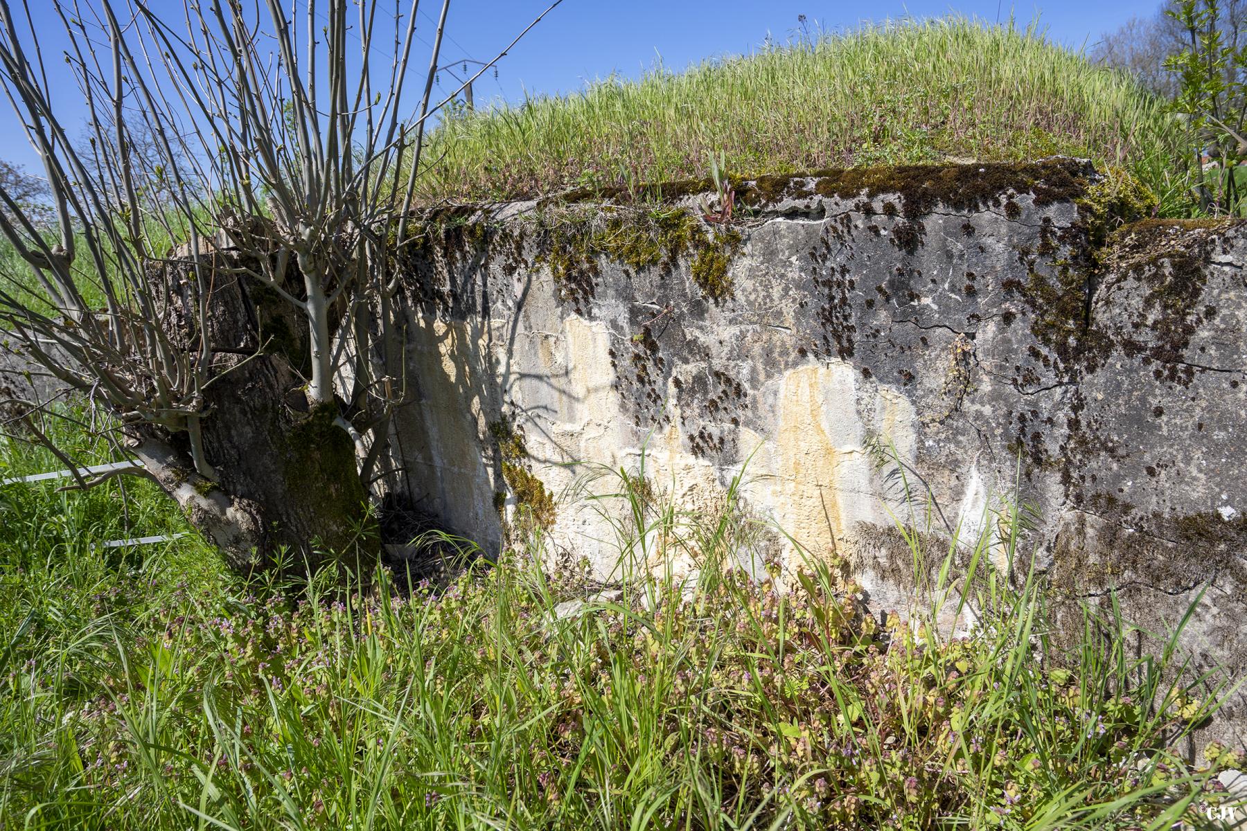 Ligne Maginot - CAMP DE ZIMMING 2 - (Blockhaus pour arme infanterie) - Le blockhaus est partiellement remblayé
Le créneau n'est pas visible - Lia VERMEULEN