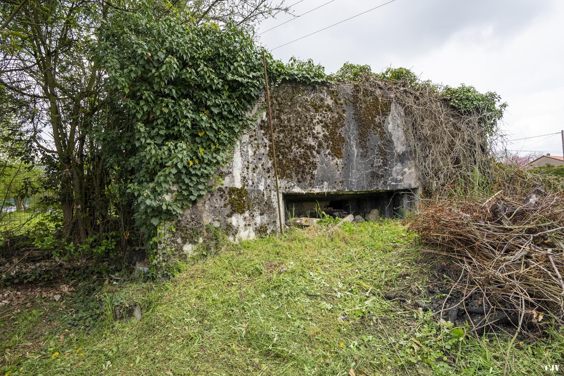 Ligne Maginot - BB356 - DALSTEIN EST - (Blockhaus pour arme infanterie) -  - Lia VERMEULEN