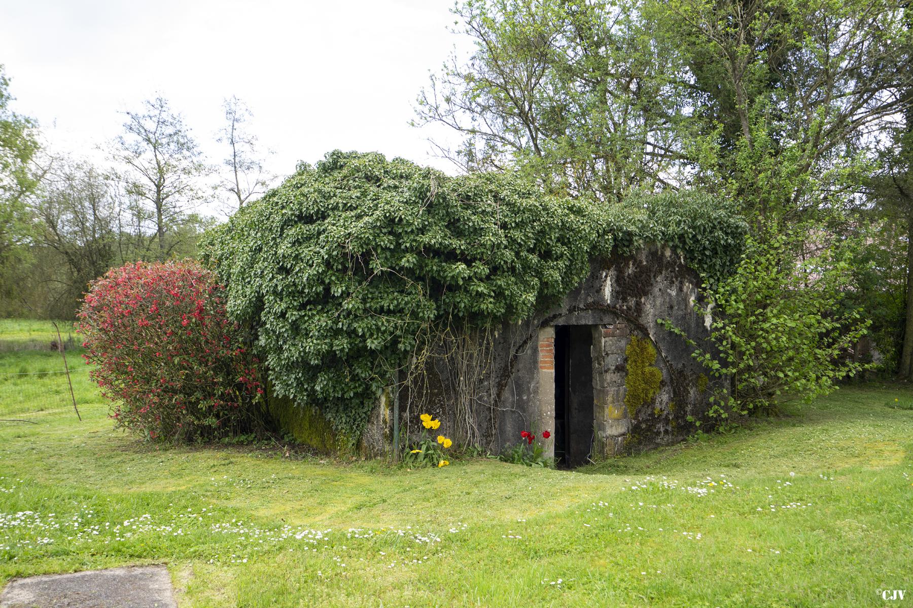 Ligne Maginot - BB356 - DALSTEIN EST - (Blockhaus pour arme infanterie) -  - Lia VERMEULEN