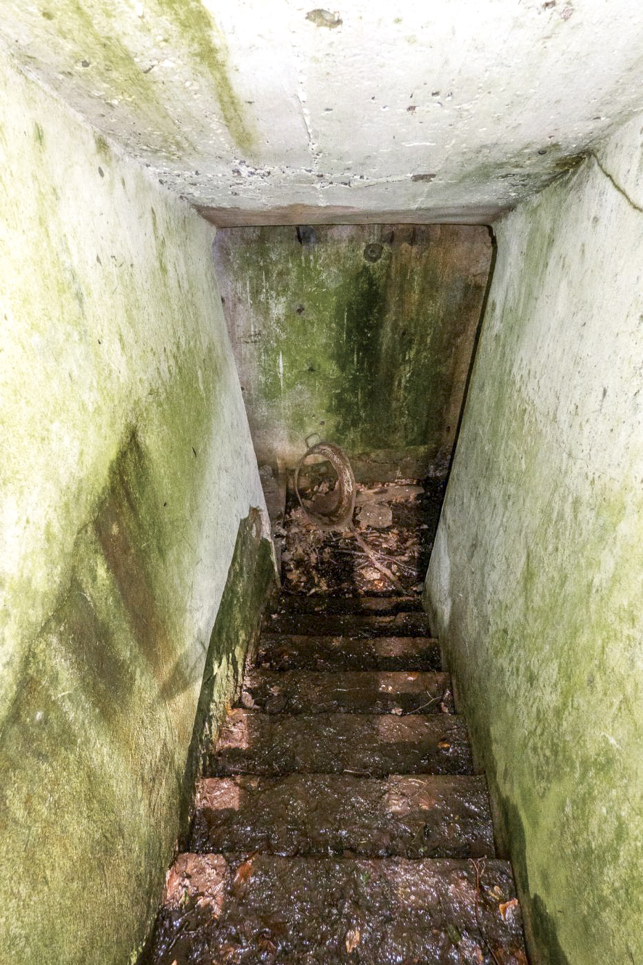 Ligne Maginot - MEMMELSHOFFEN (22° RIF) - (PC de Sous-Secteur) - Descente vers la tranchée couverte - Michel Teiten