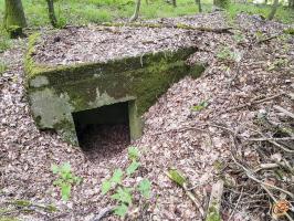 Ligne Maginot - TAUBRUNNENWALD 5 - (Blockhaus pour arme infanterie) - 