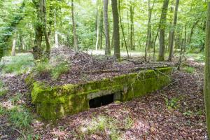 Ligne Maginot - TAUBRUNNENWALD 5 - (Blockhaus pour arme infanterie) - 