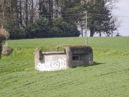 Ligne Maginot - B169 - MONT KOKEREEL - (Blockhaus pour canon) - 