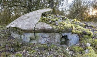 Ligne Maginot - WELSCHHOF - (Ouvrage d'infanterie) - Fausse tourelle 