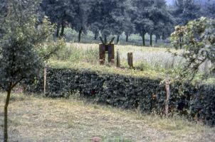 Ligne Maginot - HOLBACH - (Barrage de Route) - 