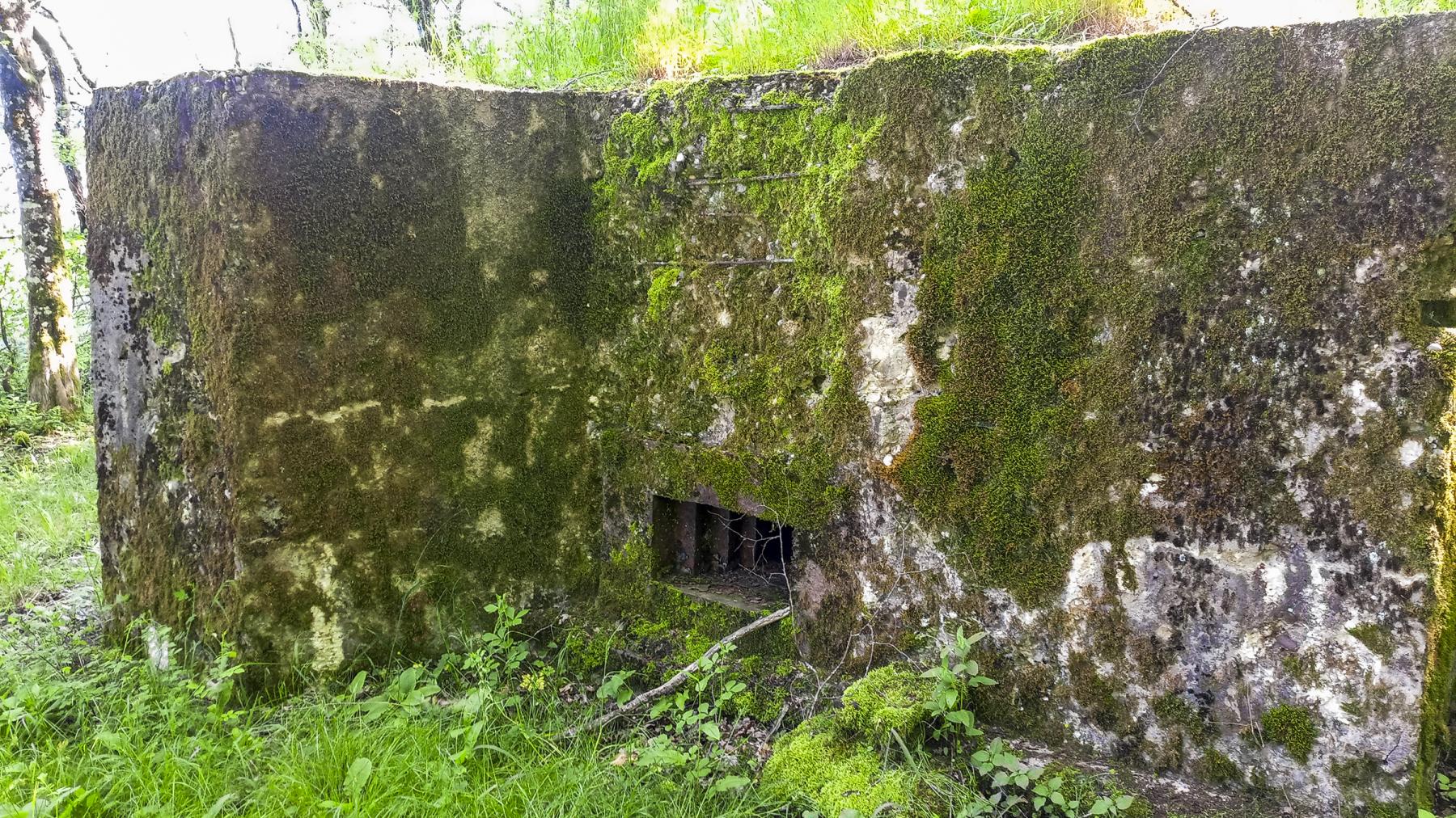 Ligne Maginot - CB225 - BOIS DE CATTENOM 03 - (Blockhaus pour arme infanterie) - Le créneau de tir - Marc Fossoul