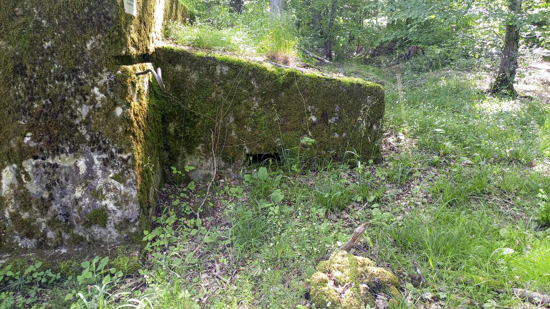 Ligne Maginot - CB225 - BOIS DE CATTENOM 03 - (Blockhaus pour arme infanterie) - Le créneau de l'annexe - Marc Fossoul