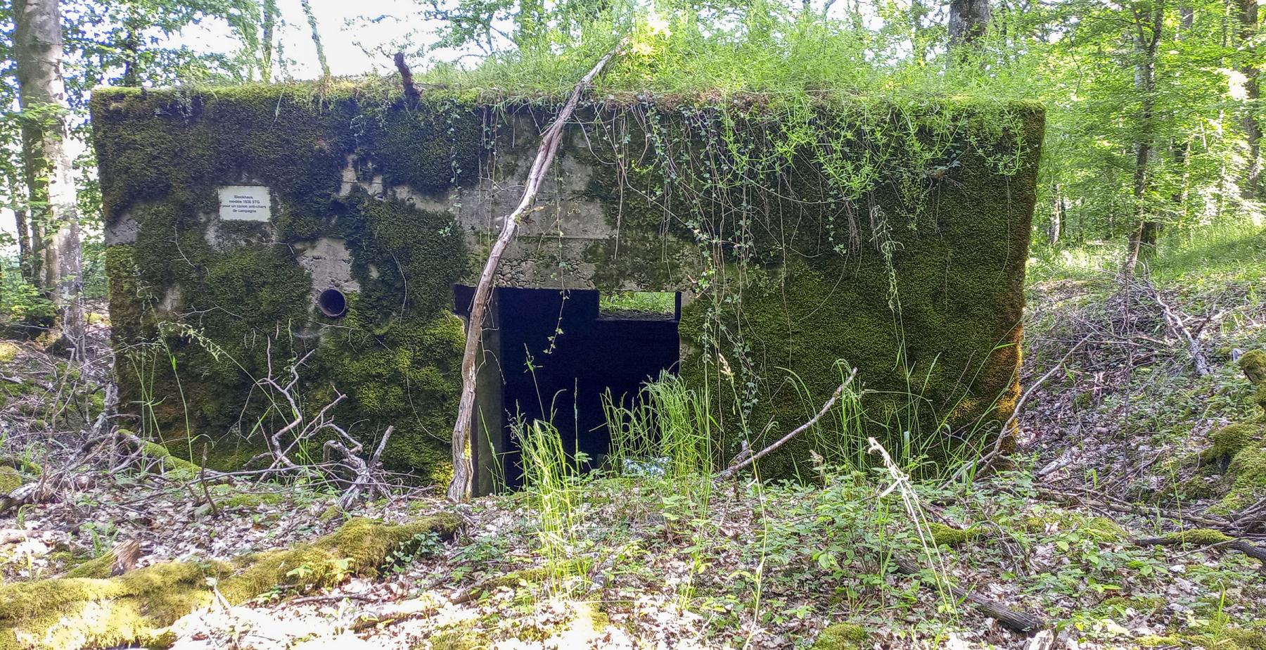 Ligne Maginot - CB286 - BOIS DE CATTENOM 04 - (Blockhaus pour canon) - L'entrée du matériel  - Marc Fossoul