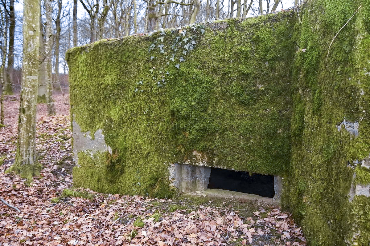Ligne Maginot - CB286 - BOIS DE CATTENOM 04 - (Blockhaus pour canon) - Vue extérieure sur le créneau de tir - D.Froehly