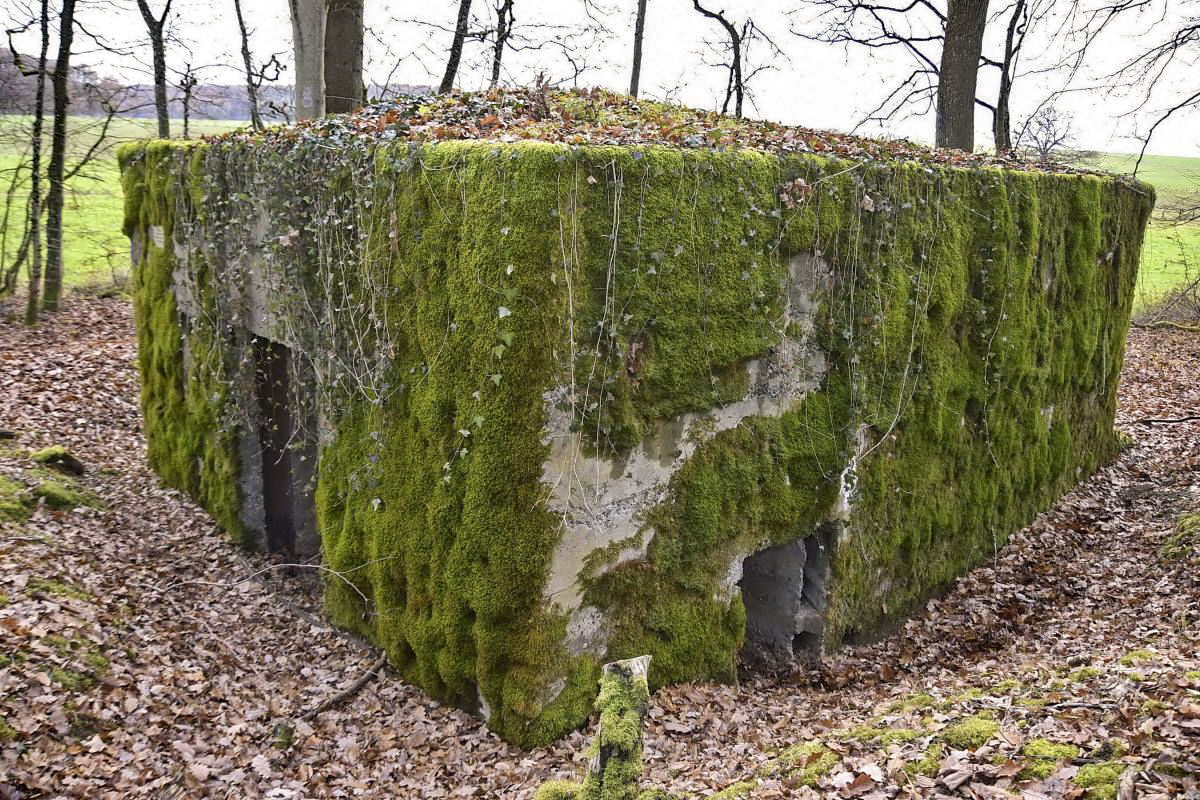 Ligne Maginot - CB286 - BOIS DE CATTENOM 04 - (Blockhaus pour canon) - Vue générale avec les entrées du matériel et des hommes - D.Froehly