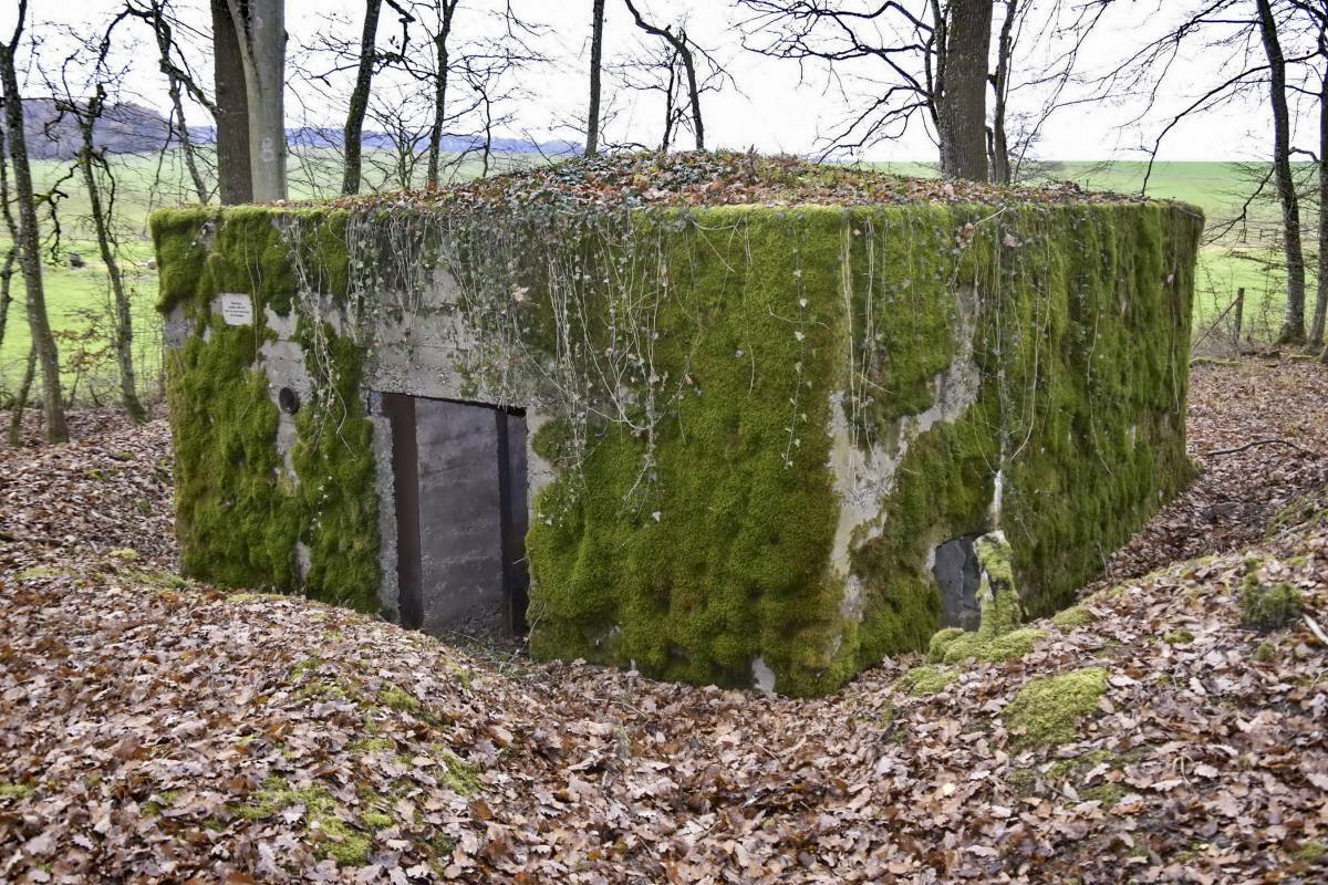Ligne Maginot - CB286 - BOIS DE CATTENOM 04 - (Blockhaus pour canon) - Vue générale avec l'entrée du matériel - D.Froehly