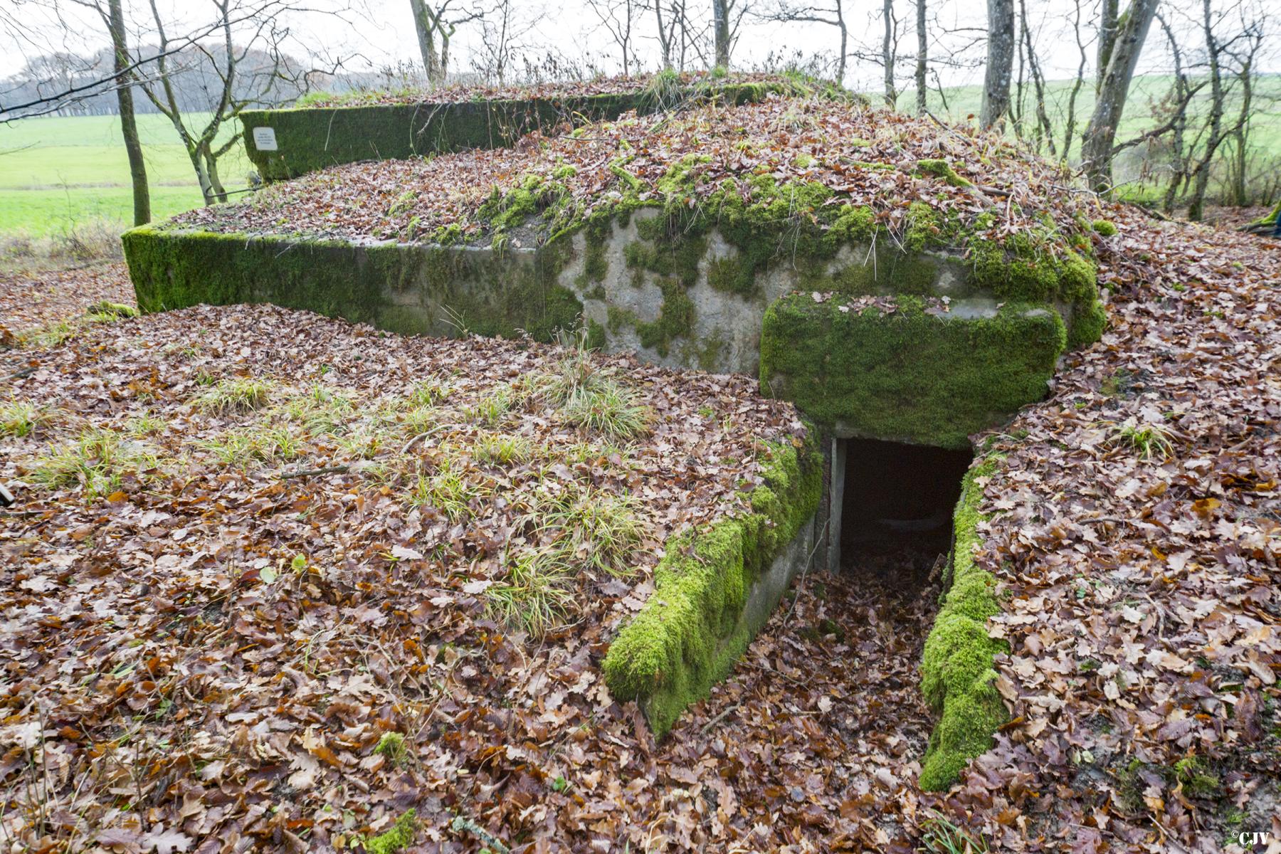 Ligne Maginot - CB225 - BOIS DE CATTENOM 03 - (Blockhaus pour arme infanterie) - L'entrée du blockhaus est par l'annexe - Lia VERMEULEN
