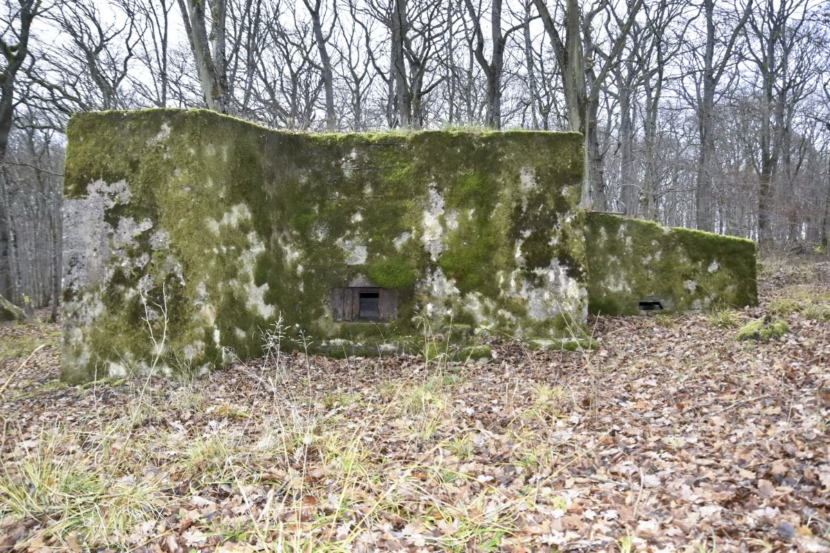 Ligne Maginot - CB225 - BOIS DE CATTENOM 03 - (Blockhaus pour arme infanterie) - Façade du créneau de tir - D.Froehly