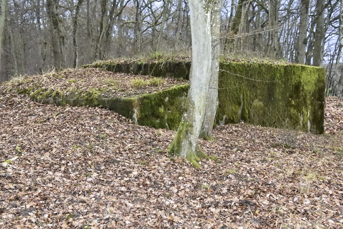 Ligne Maginot - CB225 - BOIS DE CATTENOM 03 - (Blockhaus pour arme infanterie) -  - D.Froehly