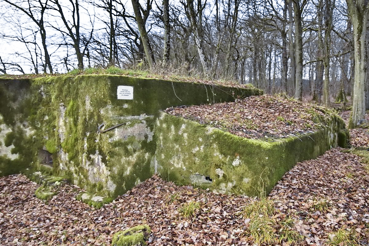 Ligne Maginot - CB225 - BOIS DE CATTENOM 03 - (Blockhaus pour arme infanterie) -  - D.Froehly