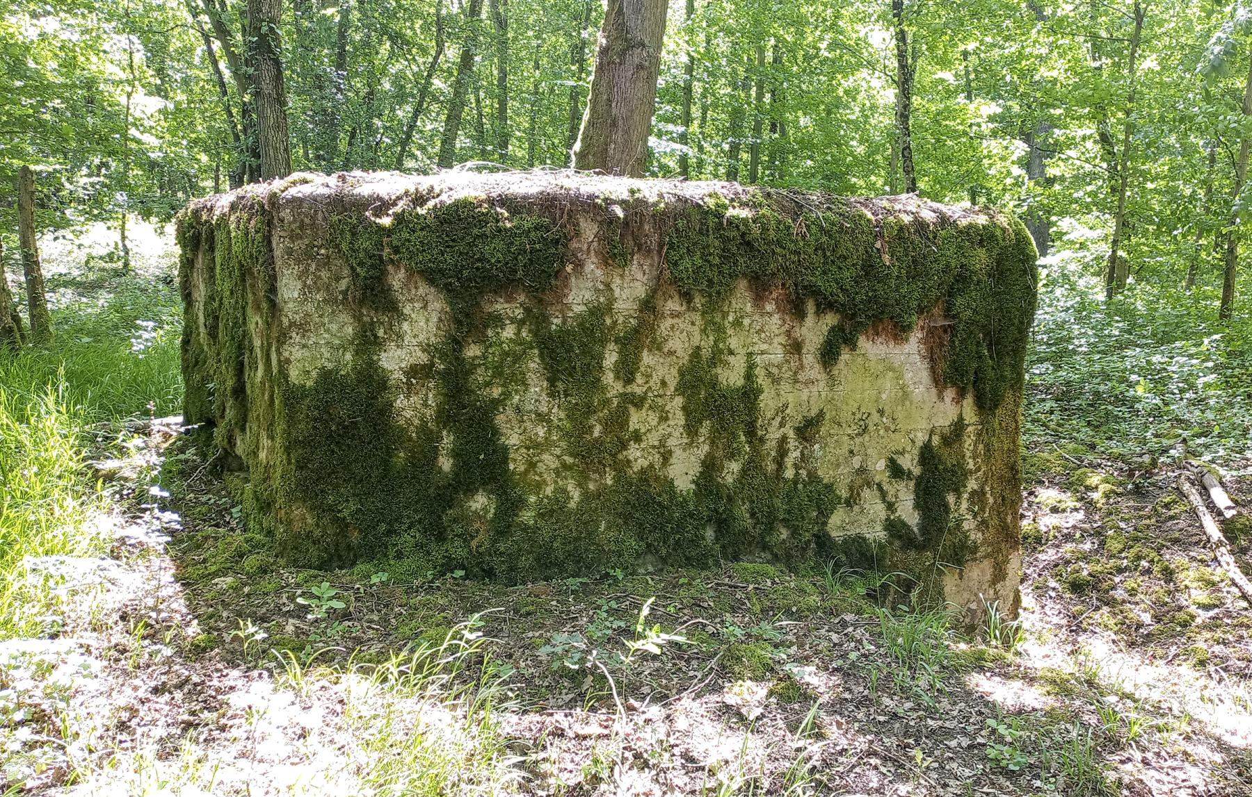 Ligne Maginot - CB434-B - ROCKSWINGERT EST 2 - (Observatoire d'infanterie) -  - Marc Fossoul