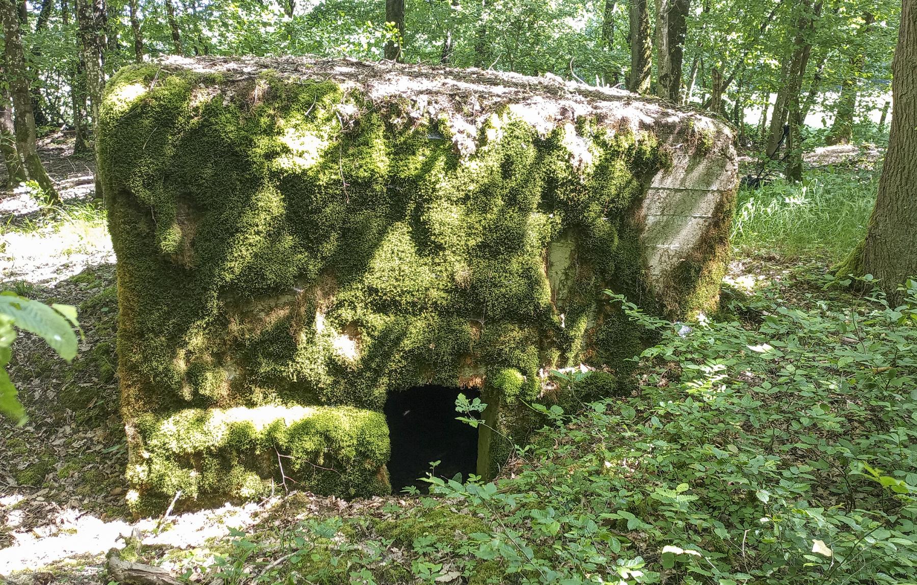 Ligne Maginot - CB434-B - ROCKSWINGERT EST 2 - (Observatoire d'infanterie) - L'entrée - Marc Fossoul