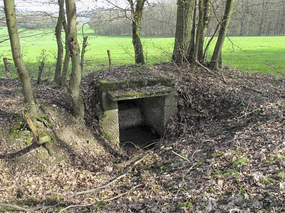 Ligne Maginot - Cb434-C - ROCKSWINGERT Est 1 (Blockhaus pour arme infanterie) -  - AALMA - lignemaginot.com