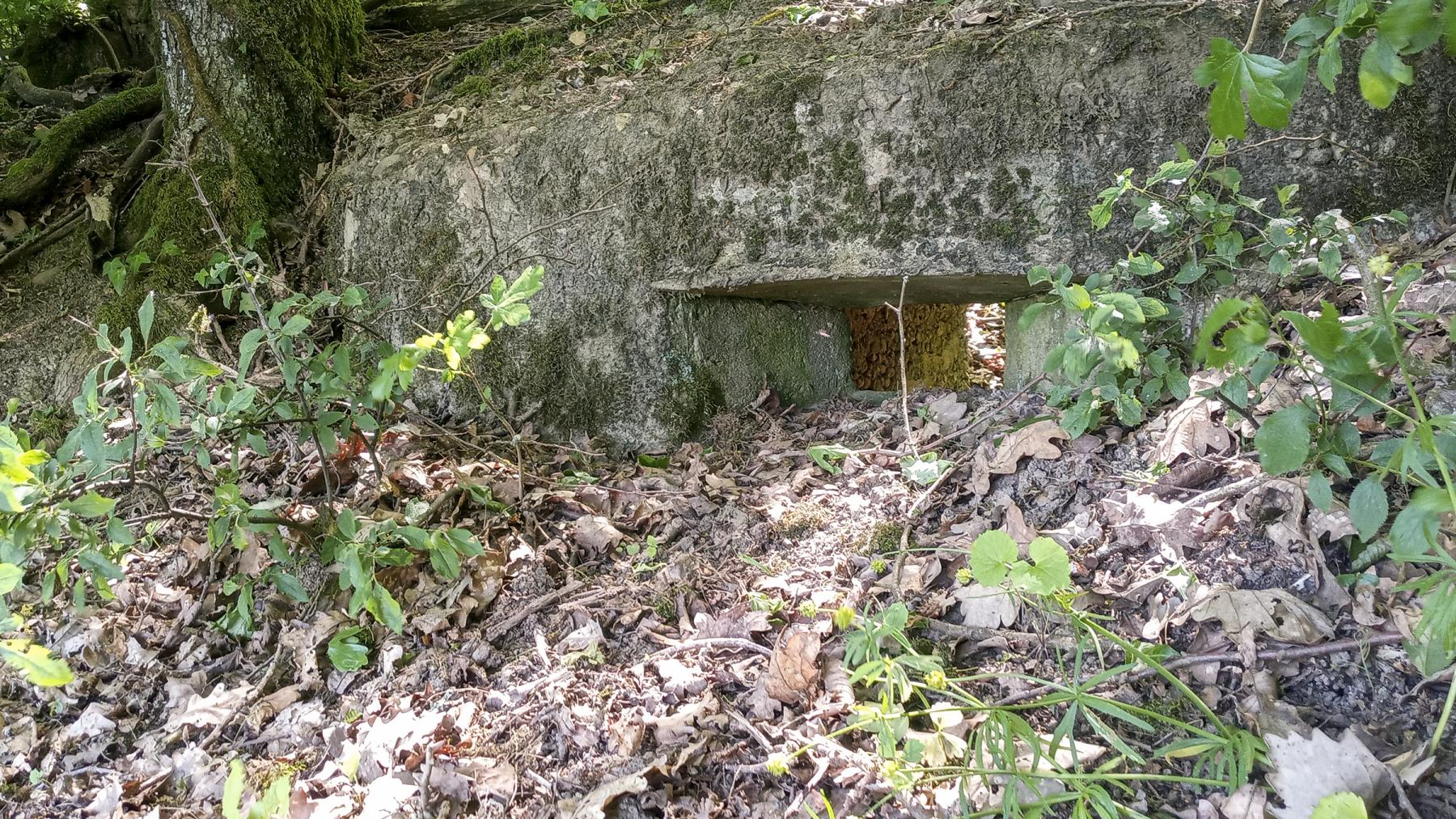 Ligne Maginot - CB434-C - ROCKSWINGERT EST 1 - (Blockhaus pour arme infanterie) -  - Marc Fossoul