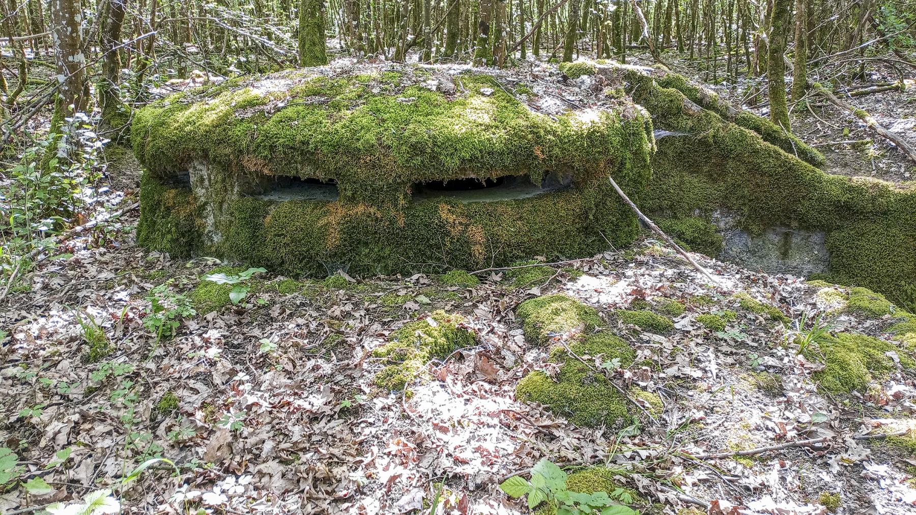 Ligne Maginot - CB434A - BOIS DE CATTENOM 08 - (Observatoire d'infanterie) - Observatoire construit à partir d'un 'escargot' allemand d'avant la première guerre mondiale - Marc Fossoul