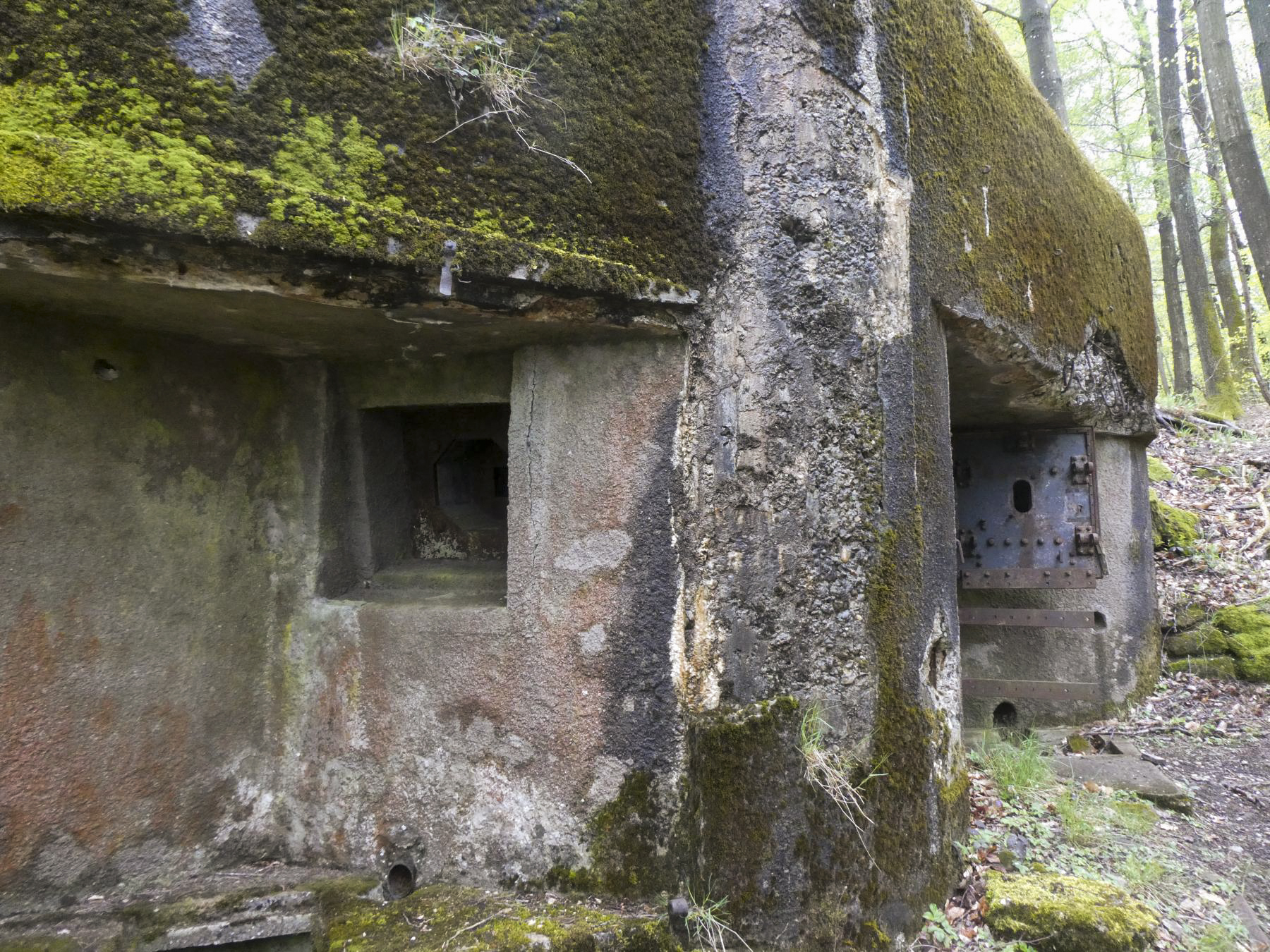 Ligne Maginot - GUNSTHAL COL OUEST - (Blockhaus pour arme infanterie) - Créneau FM principal et porte d'entrée - ELLENA Daniel-CUNY Philippe