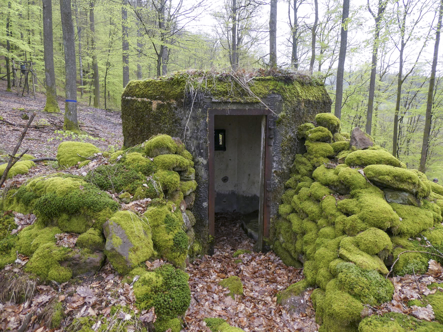 Ligne Maginot - FM39 - DIEBSKOPF 1 - (Blockhaus pour arme infanterie) - Entrée - ELLENA Daniel-CUNY Philippe