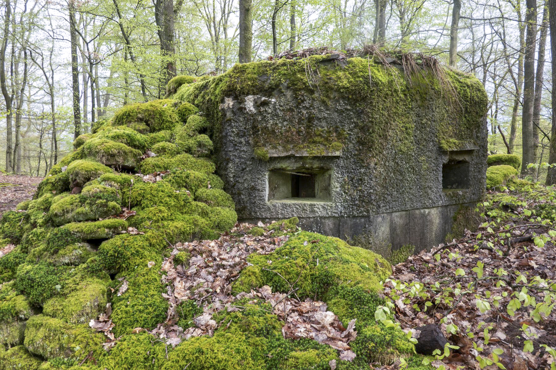 Ligne Maginot - FM39 - DIEBSKOPF 1 - (Blockhaus pour arme infanterie) -  - Michel Teiten