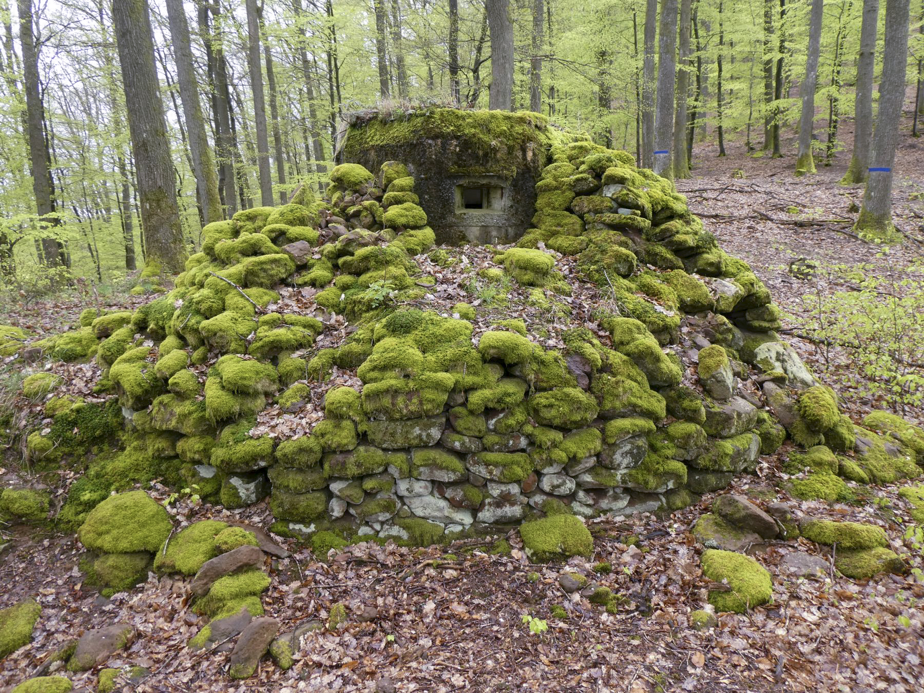 Ligne Maginot - FM39 - DIEBSKOPF 1 - (Blockhaus pour arme infanterie) - Le créneau latéral droit protégé par le rocaillage - ELLENA Daniel-CUNY Philippe