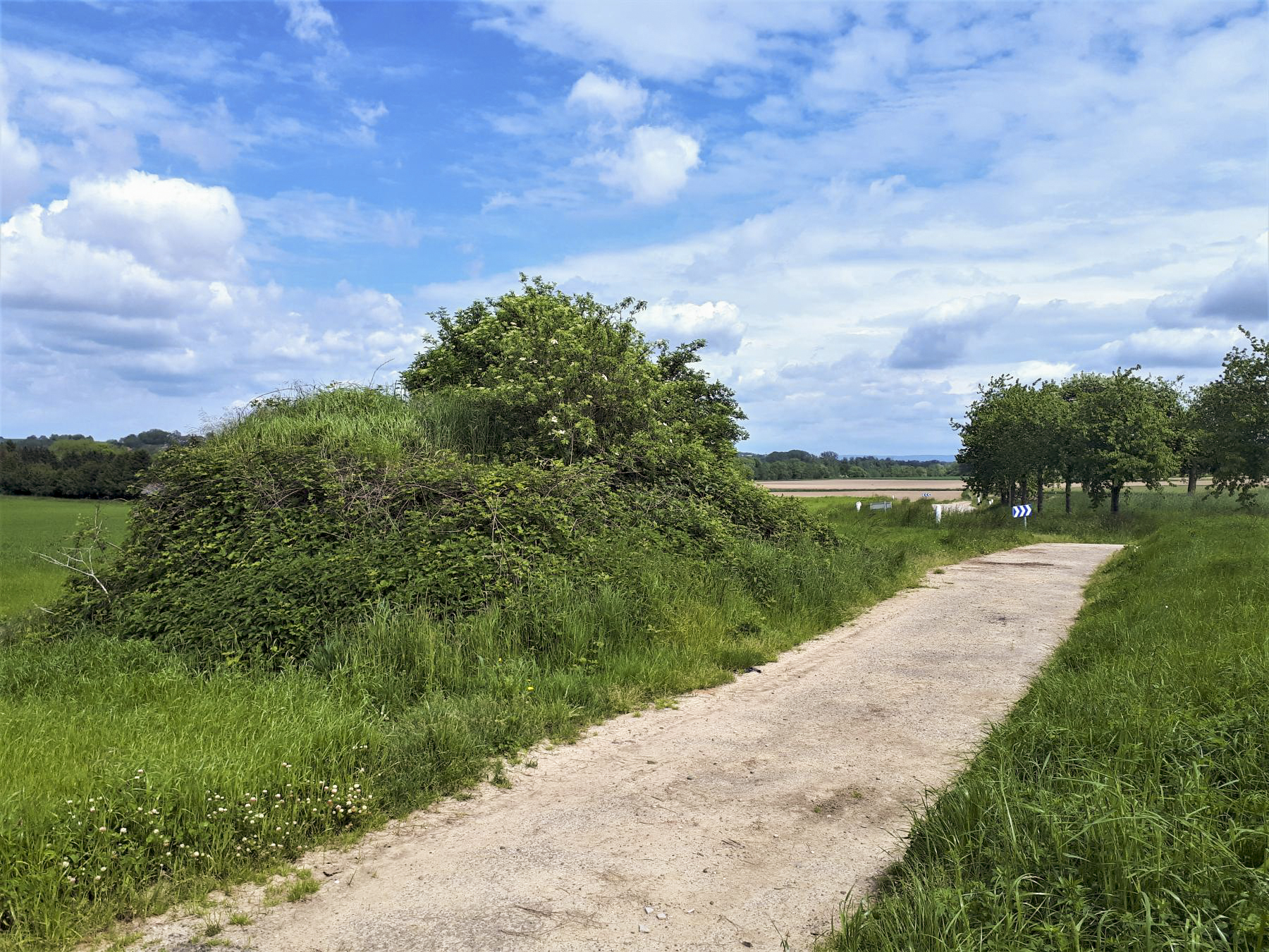 Ligne Maginot - HANG HAAG - (Blockhaus pour arme infanterie) - En contrebas, le virage de la route de Hatten couvert par le blockhaus. Au loin, la lisière ou se trouve la ligne du Seltzbach - Gregory Fuchs