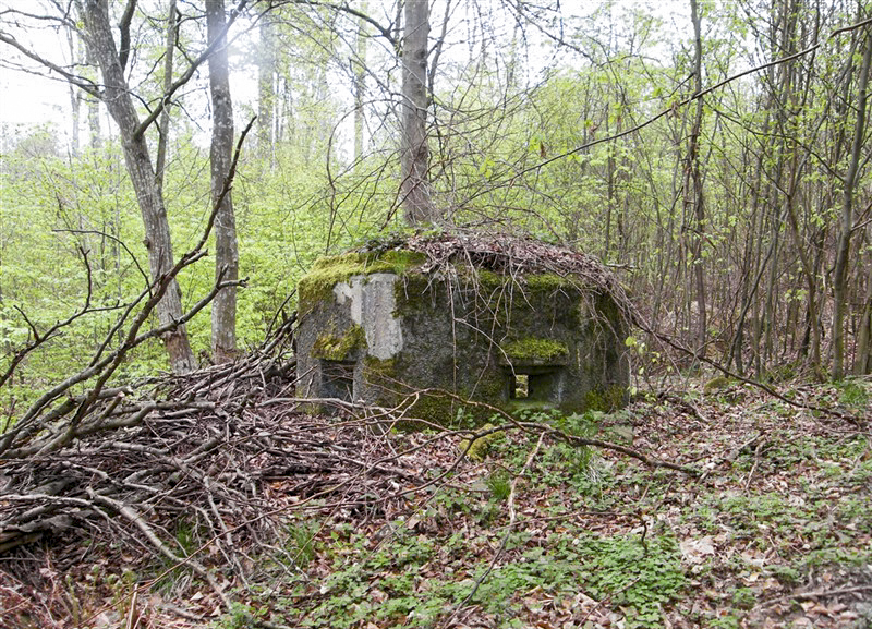 Ligne Maginot - FM9 - HIRTENMATT 1 - (Blockhaus pour arme infanterie) - Créneau frontal et latéral gauche - Jean-Louis AUBLET & Sylvie MAINGUIN