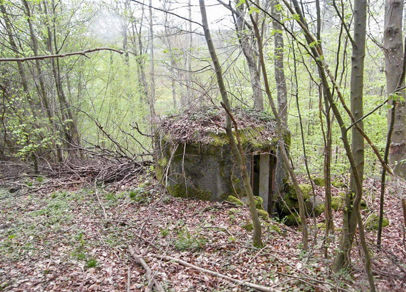 Ligne Maginot - FM9 - HIRTENMATT 1 - (Blockhaus pour arme infanterie) - Vue vers l'entrée - Jean-Louis AUBLET & Sylvie MAINGUIN