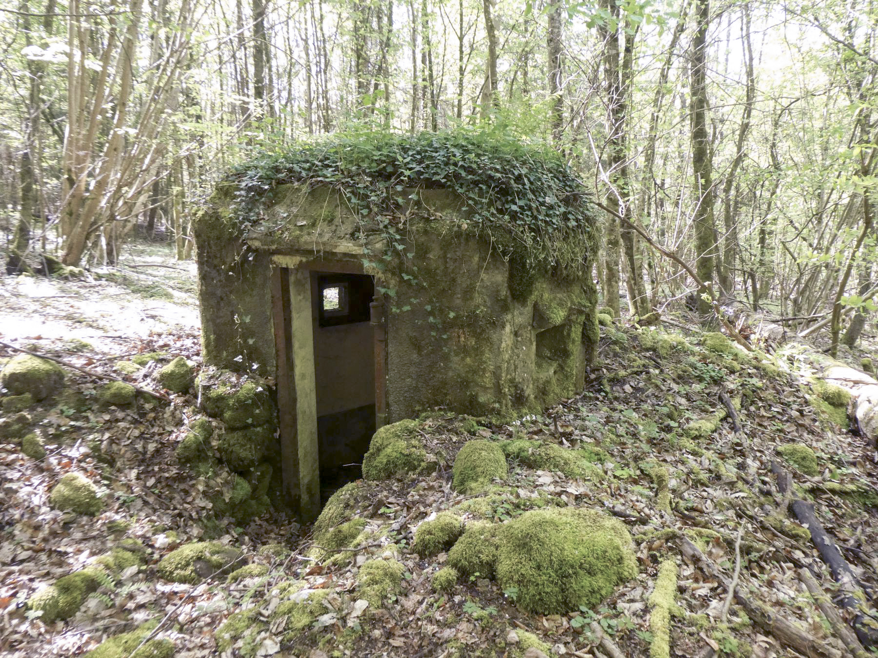 Ligne Maginot - FM9 - HIRTENMATT 1 - (Blockhaus pour arme infanterie) - Entrée et créneau latéral droit - ELLENA Daniel-CUNY Philippe