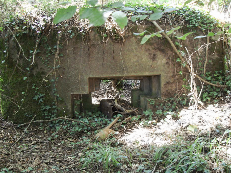 Ligne Maginot - BBO6 - (Blockhaus pour canon) - Vue d'ensemble - Schnoupf