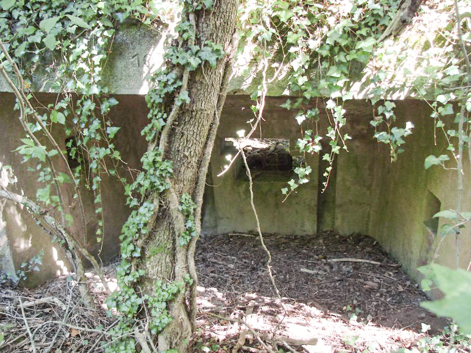 Ligne Maginot - BBO6 - (Blockhaus pour canon) - Vue d'ensemble - Schnoupf