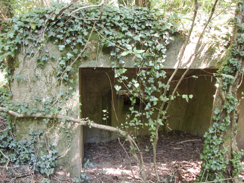 Ligne Maginot - BBO6 - (Blockhaus pour canon) - Vue d'ensemble - Schnoupf