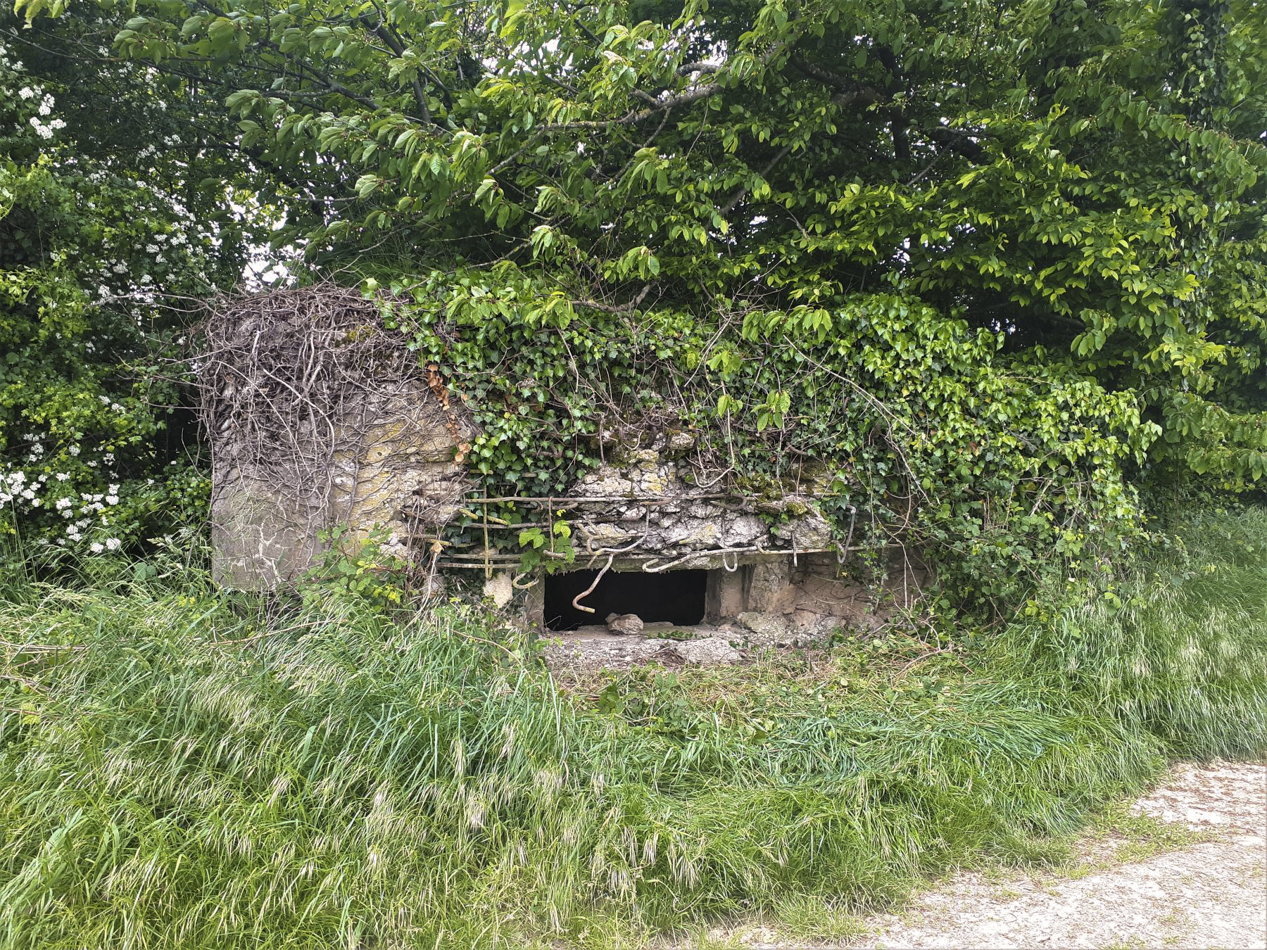 Ligne Maginot - BOIS DE HOFFEN 1 - (Blockhaus pour canon) - Façade et créneau de la pièce antichar - Gregory Fuchs