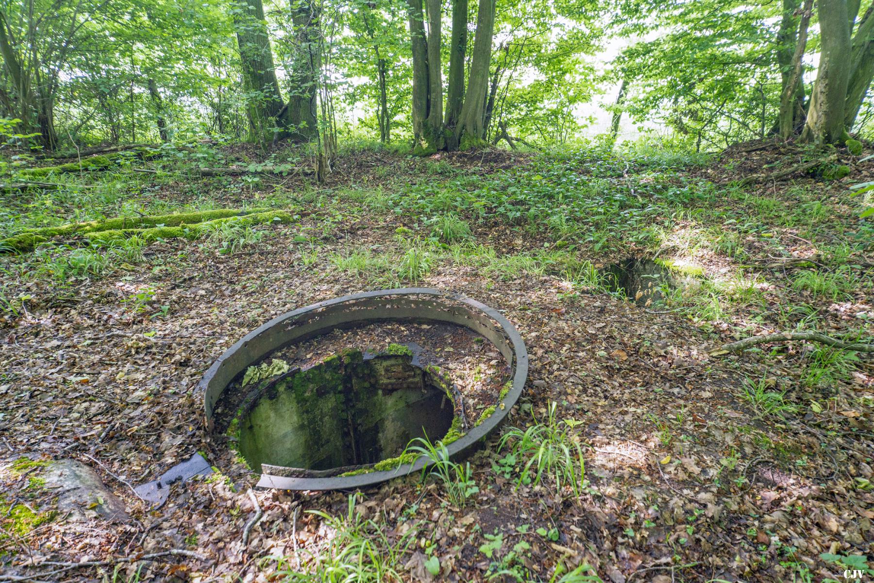 Ligne Maginot - TAUBRUNNENWALD 4 - FT - (Blockhaus pour arme infanterie) -                - Lia VERMEULEN