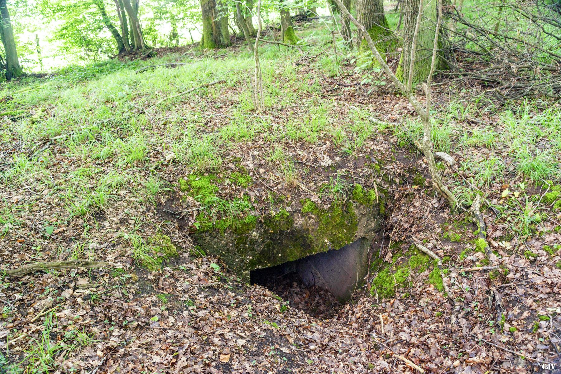 Ligne Maginot - TAUBRUNNENWALD 4 - FT - (Blockhaus pour arme infanterie) - L'entrée               - Lia VERMEULEN