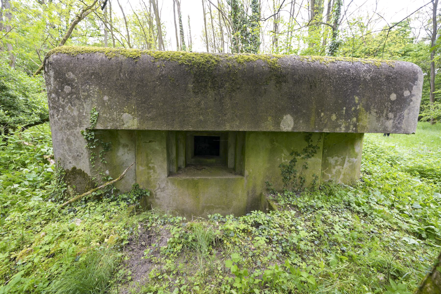 Ligne Maginot - SELTZBACH 7 - (Blockhaus pour arme infanterie) -  - duomaxw