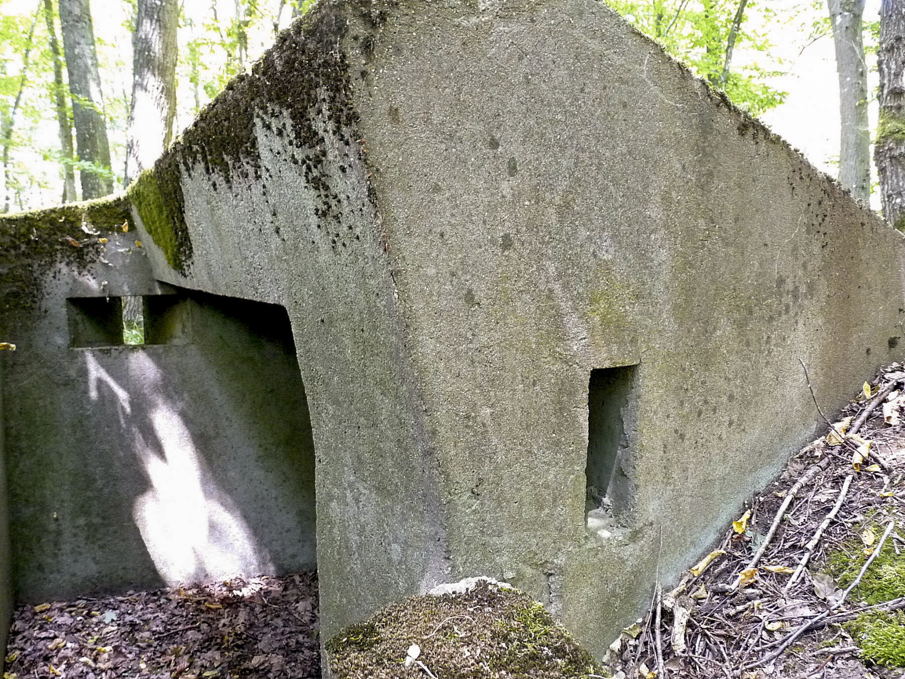 Ligne Maginot - TAUBRUNNENWALD 1 - (Blockhaus pour arme infanterie) -  - Sylvie Laure LAMBERT