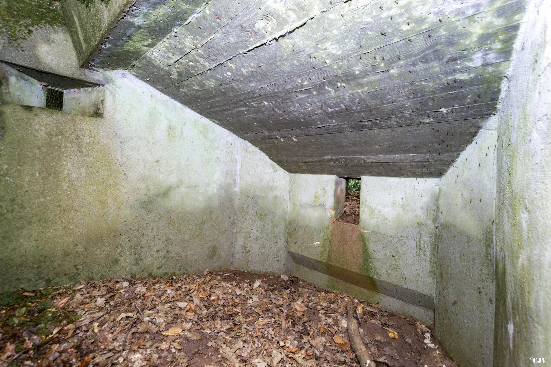 Ligne Maginot - TAUBRUNNENWALD 1 - (Blockhaus pour arme infanterie) -  - Lia VERMEULEN