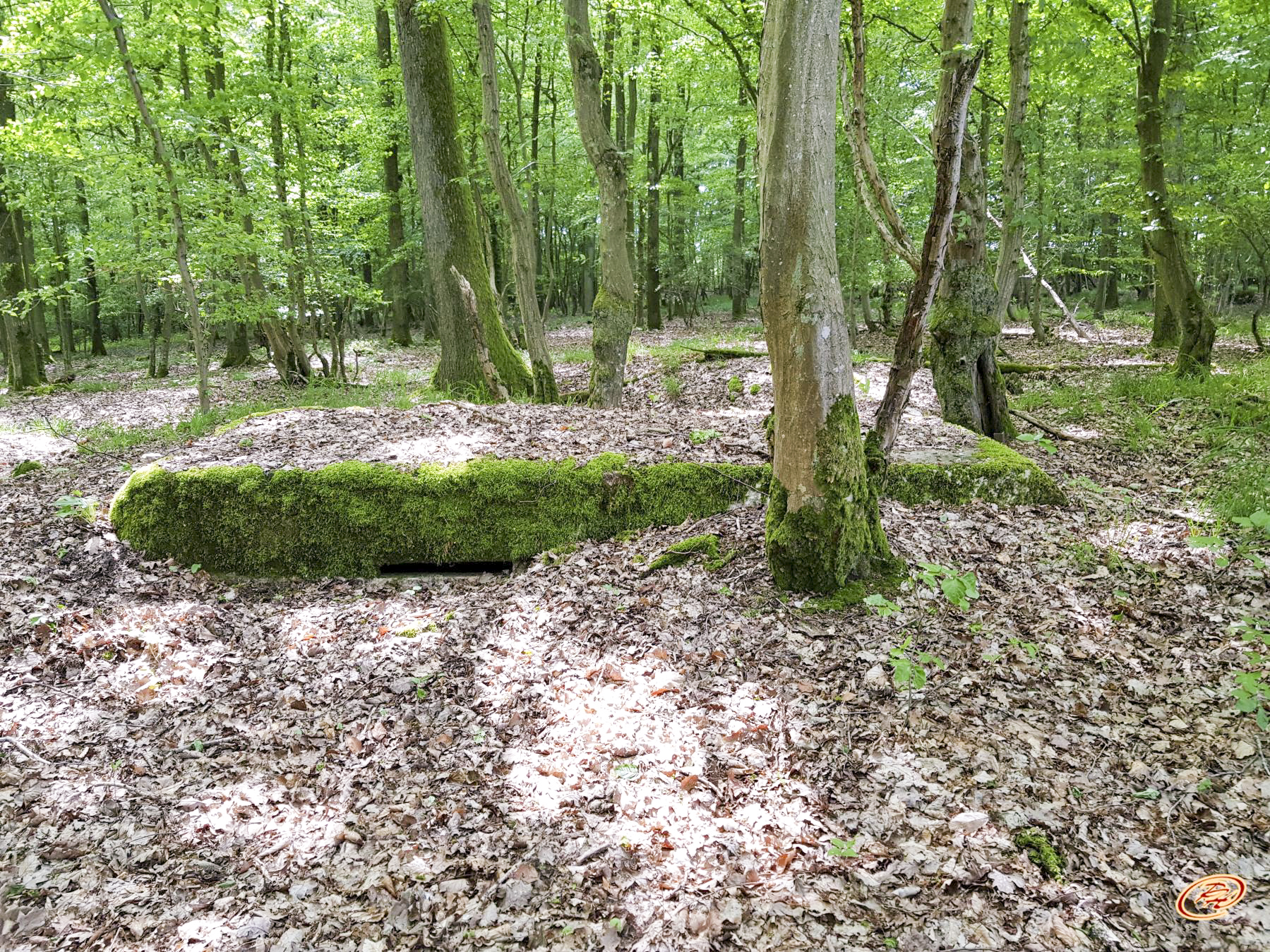 Ligne Maginot - TAUBRUNNENWALD 7 - (Observatoire d'infanterie) -  - Paul HARY
