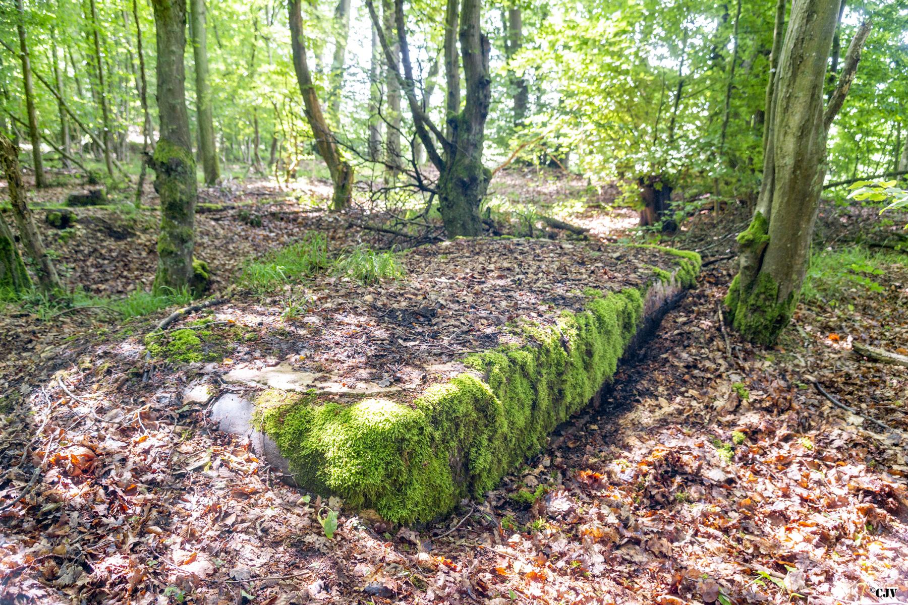 Ligne Maginot - TAUBRUNNENWALD 7 - (Observatoire d'infanterie) -  - Lia VERMEULEN