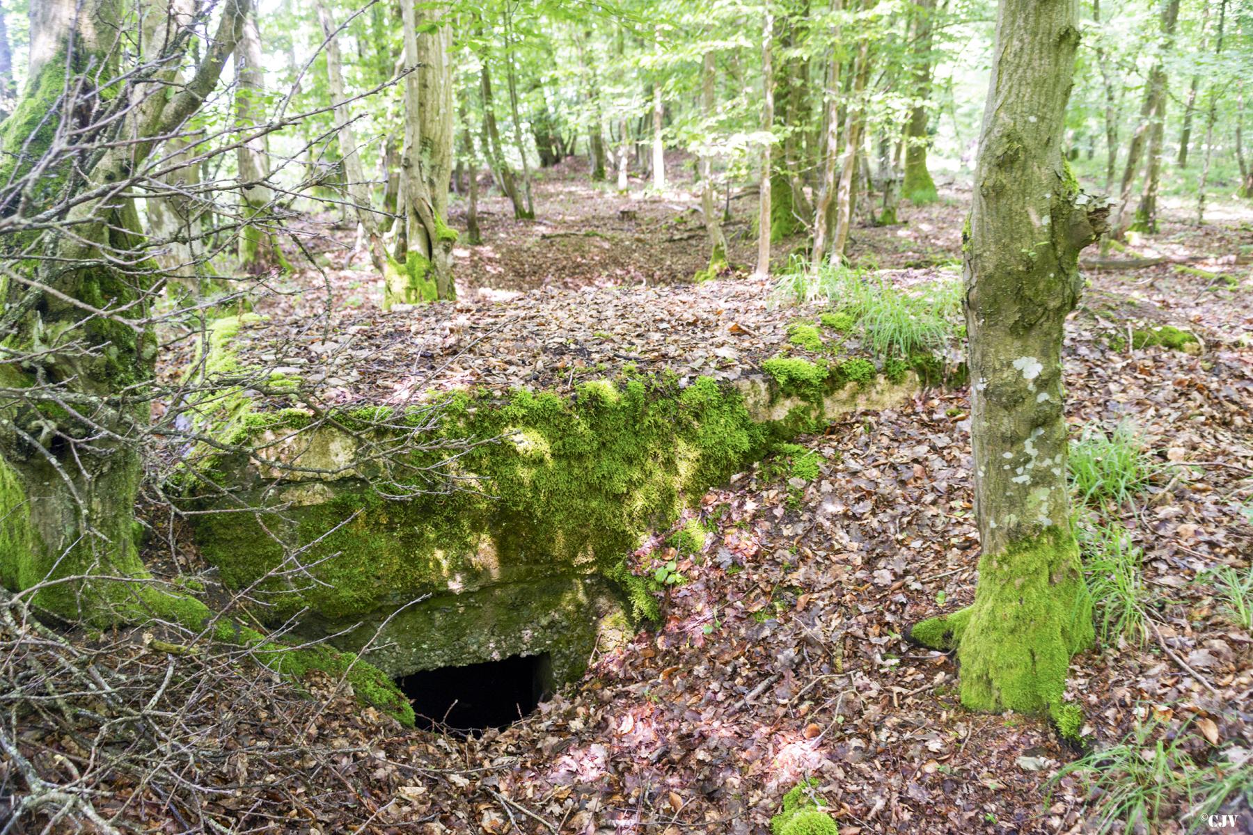 Ligne Maginot - TAUBRUNNENWALD 7 - (Observatoire d'infanterie) - L’entrée          - Lia VERMEULEN