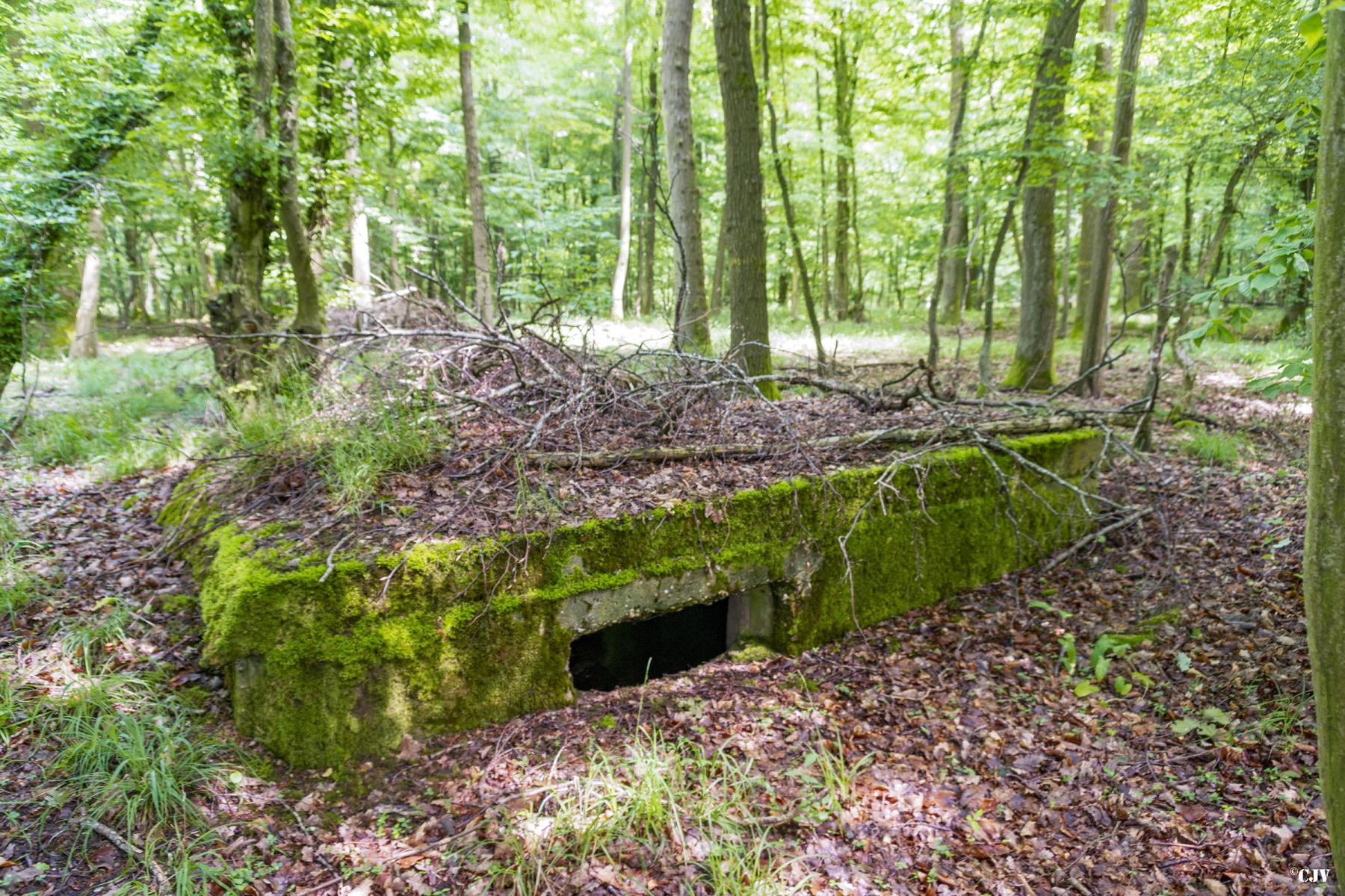 Ligne Maginot - TAUBRUNNENWALD 5 - (Blockhaus pour arme infanterie) -  - Lia VERMEULEN